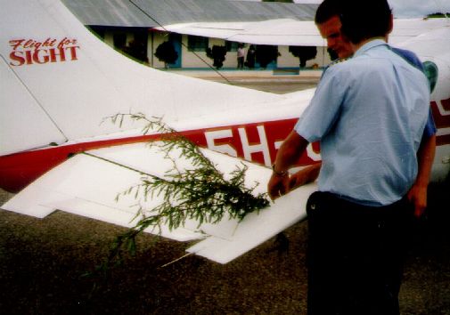 Eingeklemmter Busch im Höhenruder